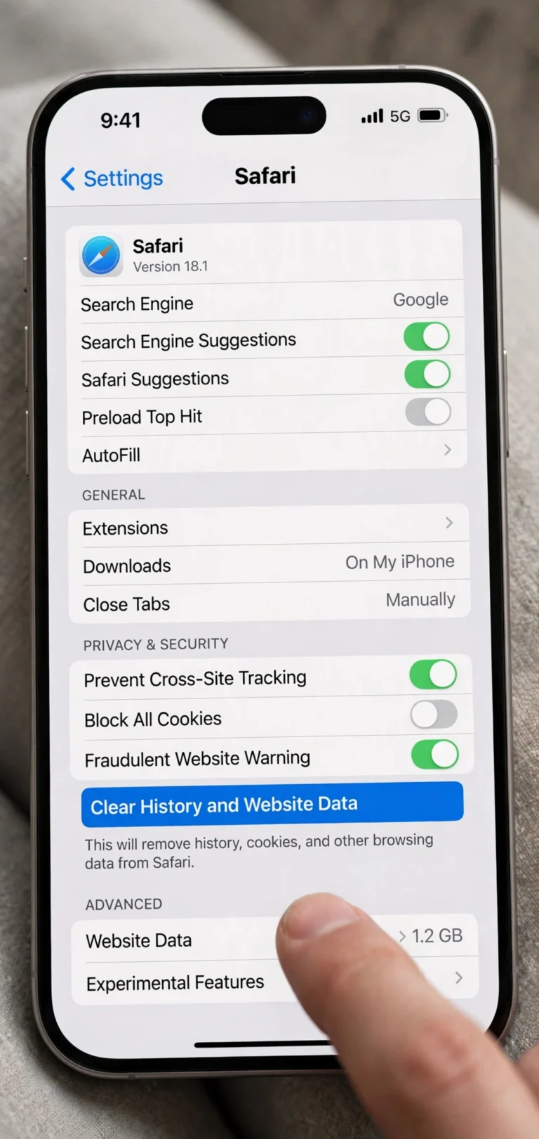 Clear History and Website Data option in iPhone Safari settings