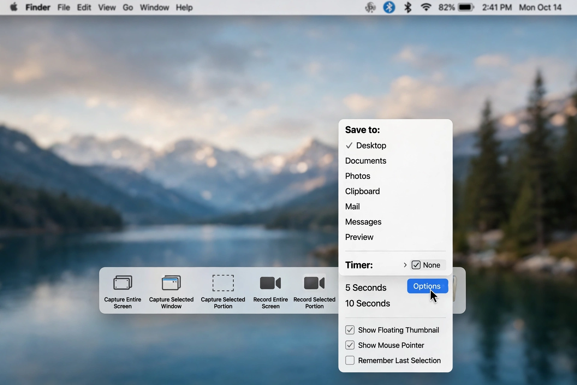 macOS screenshot toolbar with Options menu open