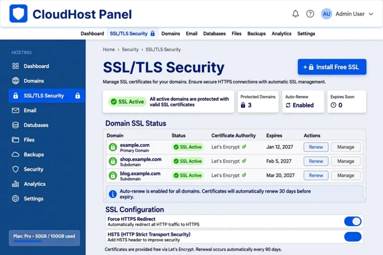 Generic web hosting control panel showing SSL certificate status as active with an install button
